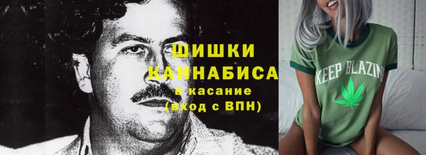 прущие крисы Арсеньев